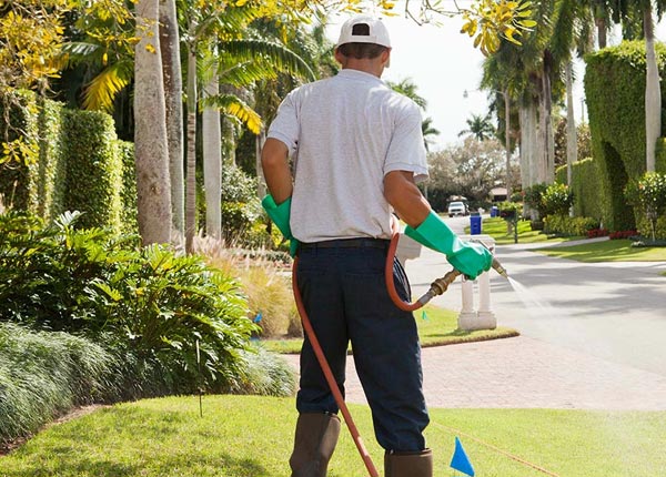 About Standish ME Pest Control Pros